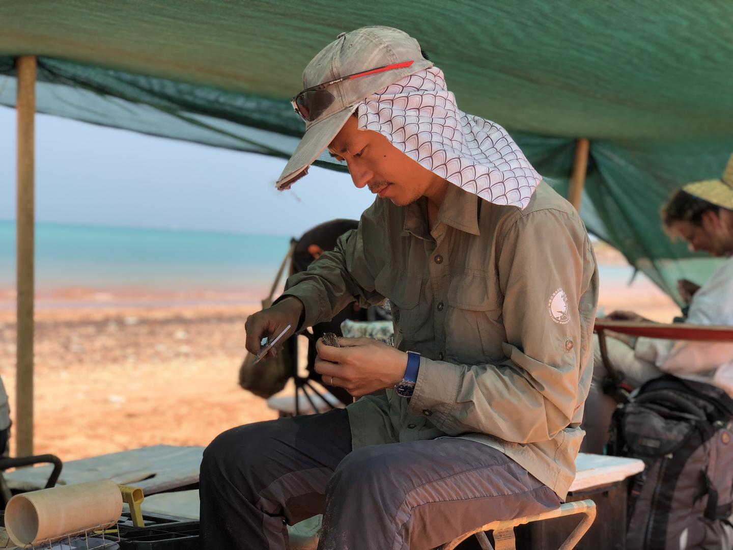 Tong measuring a shorebird
