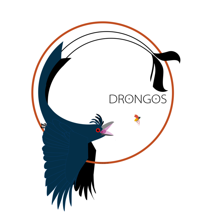 Drongos Logo